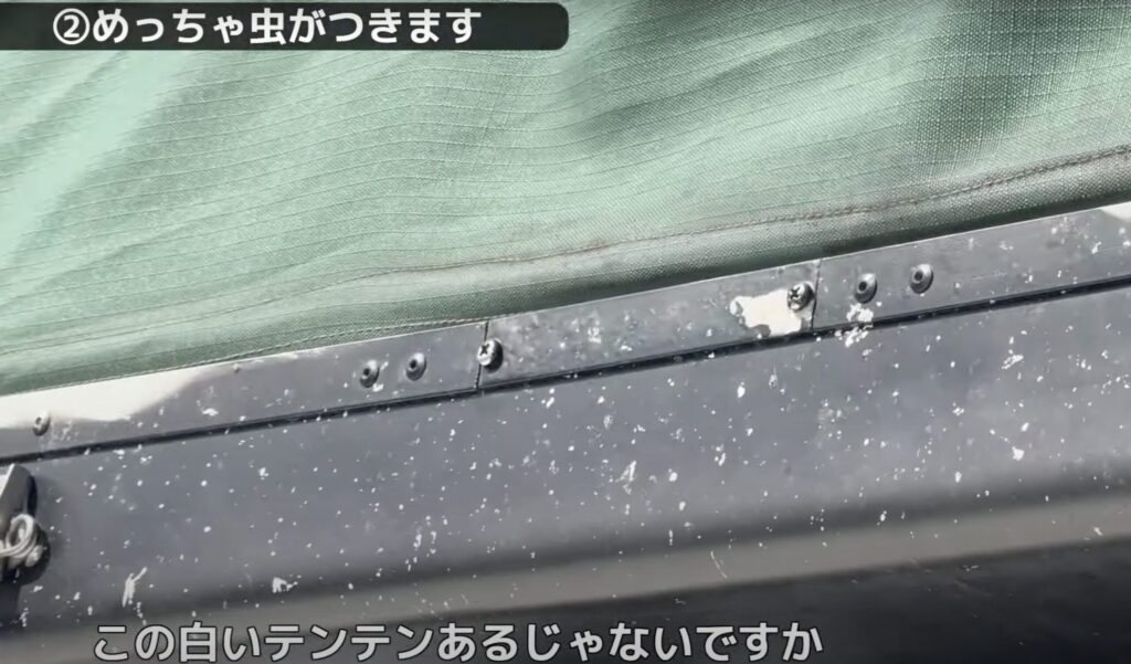 ルーフテントの白いシェルに付着した多数の黒い虫の死骸